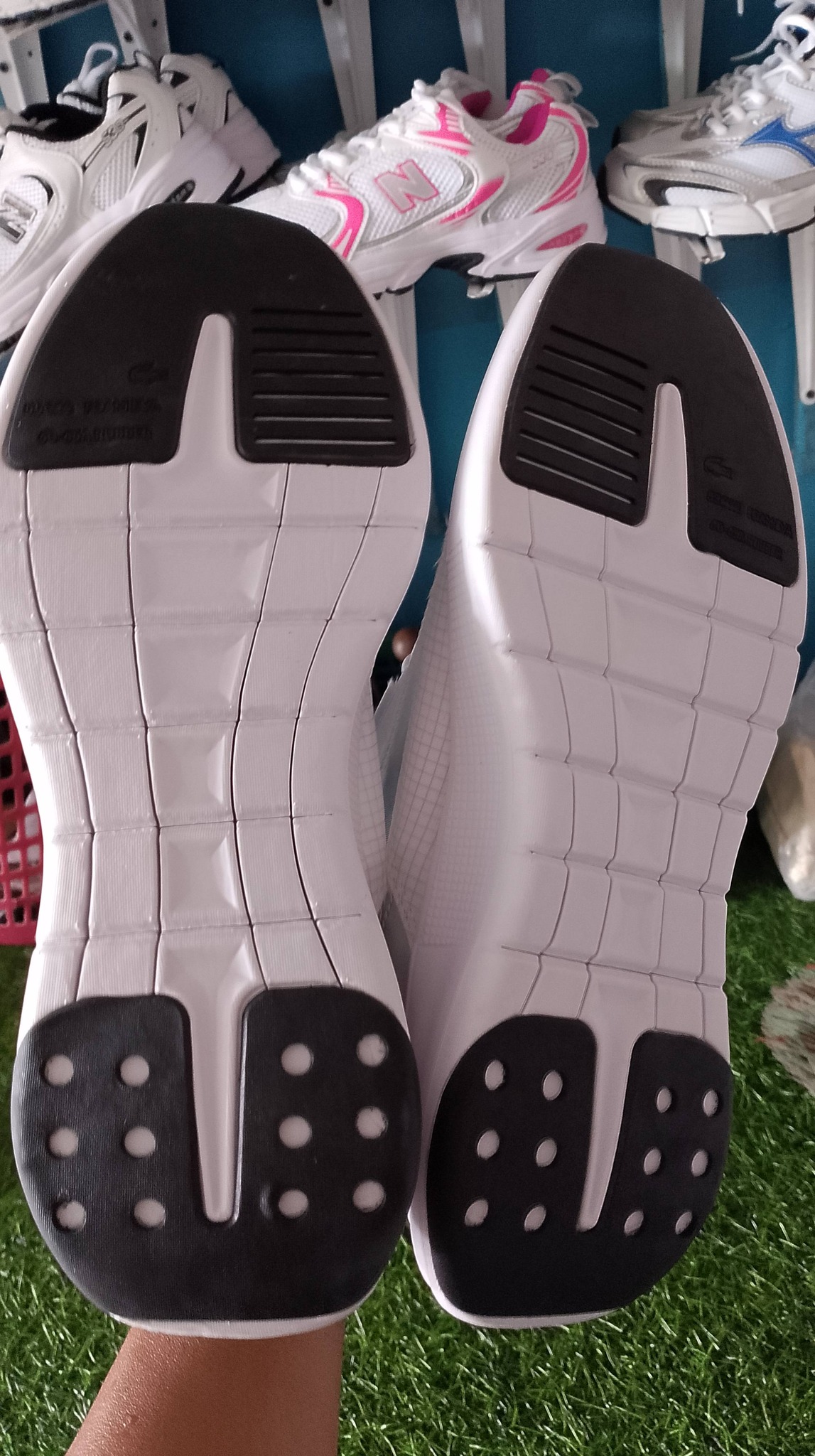 lacoste sepatu pria foto 3