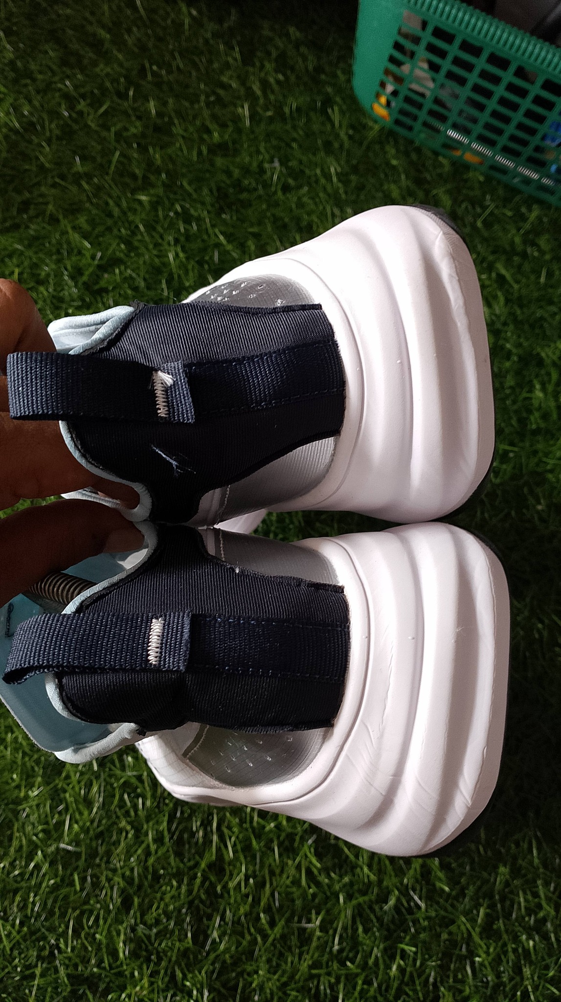 lacoste sepatu pria foto 2