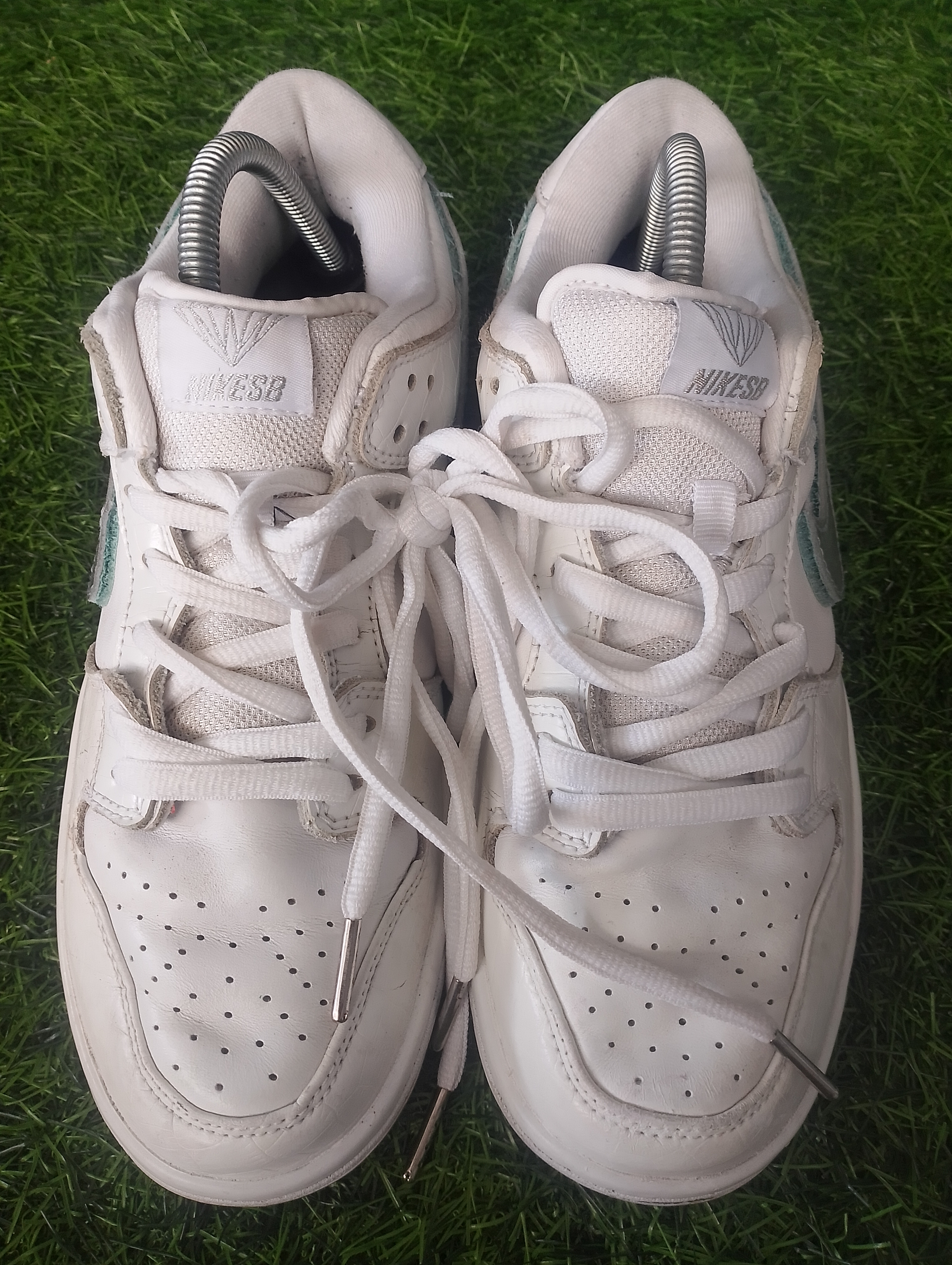 nike sb foto 5
