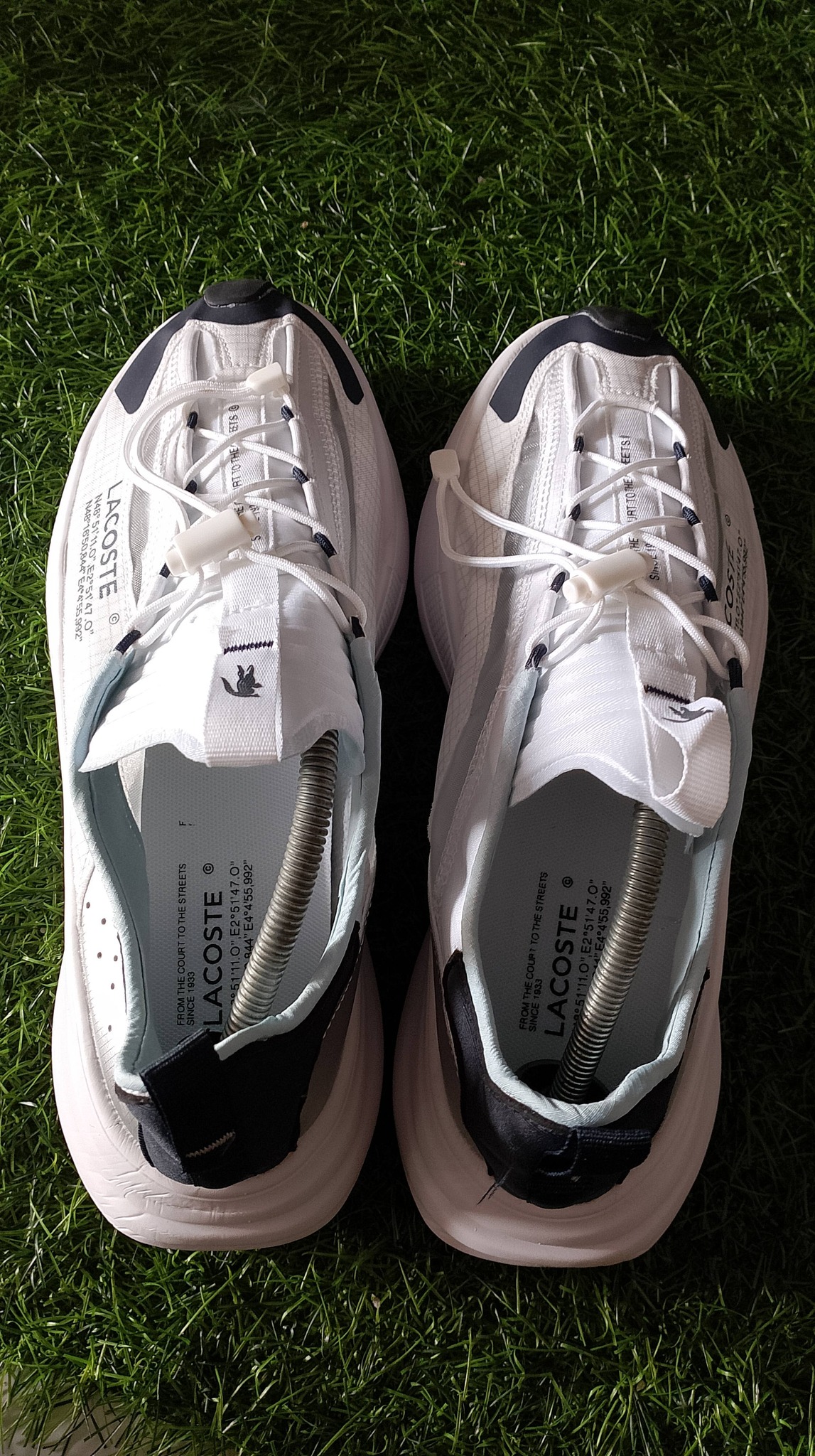 lacoste sepatu pria foto 4