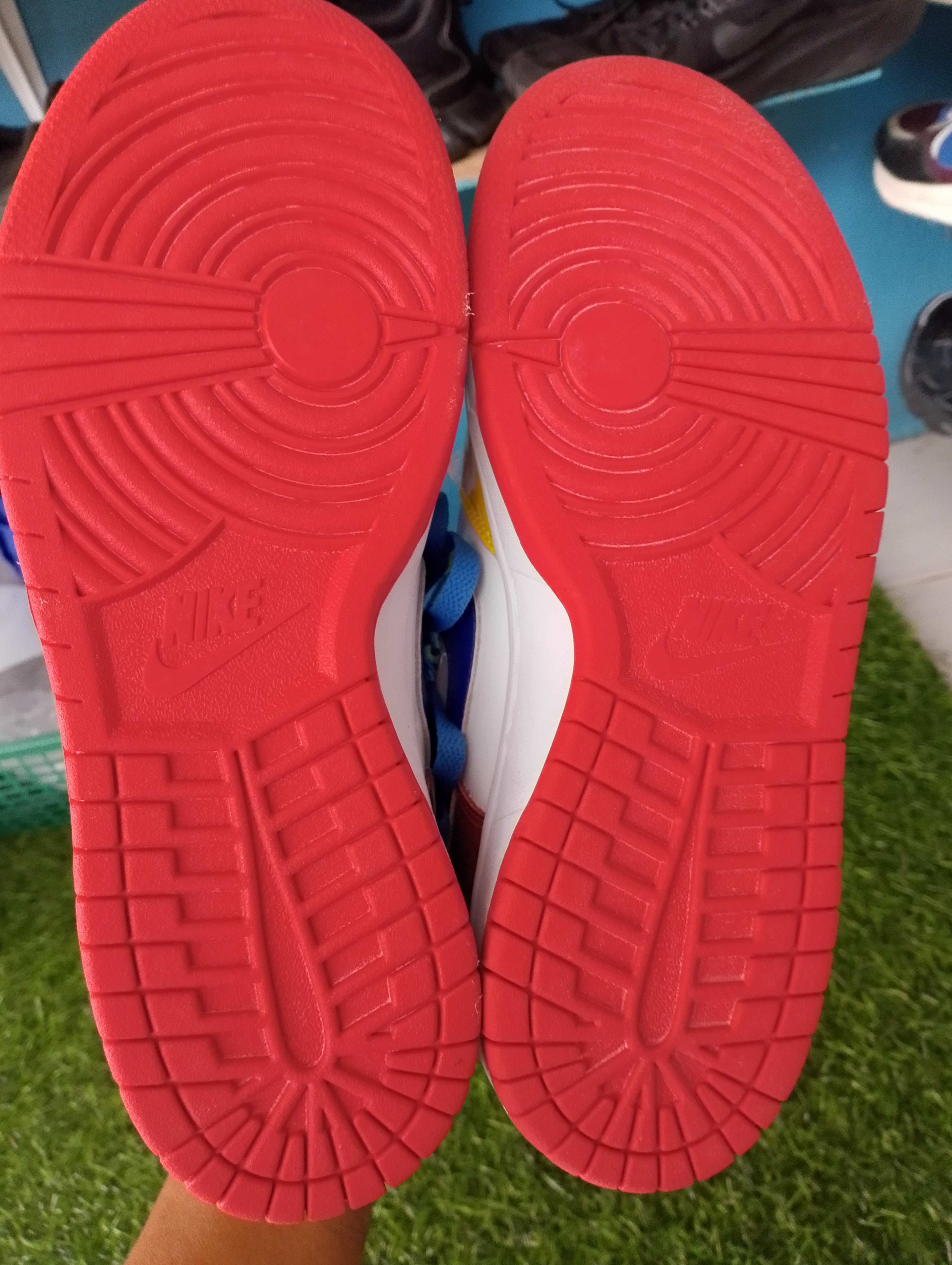 nike sb foto 3
