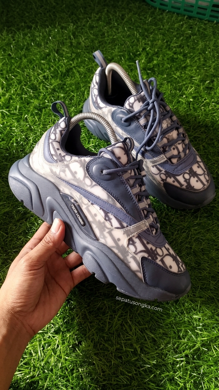 Dior Homme B22 Sneakers (sepatu palopo)